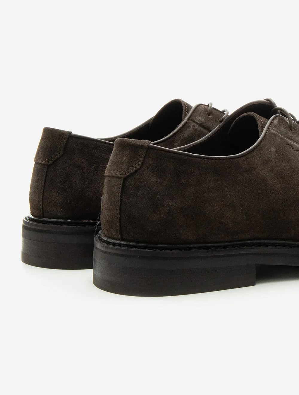 Bidford Low Lace Suede Shoe Ebony Brown