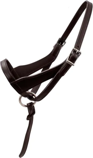 Derby Originals Paris Tack Double Layered Leather Grow with Me Adjustable Horse Foal Halter with Extra Crown Piece