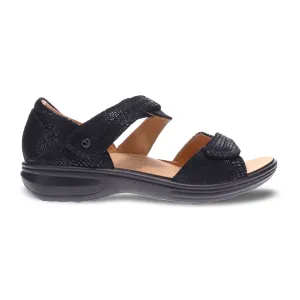 Geneva Black Lizard