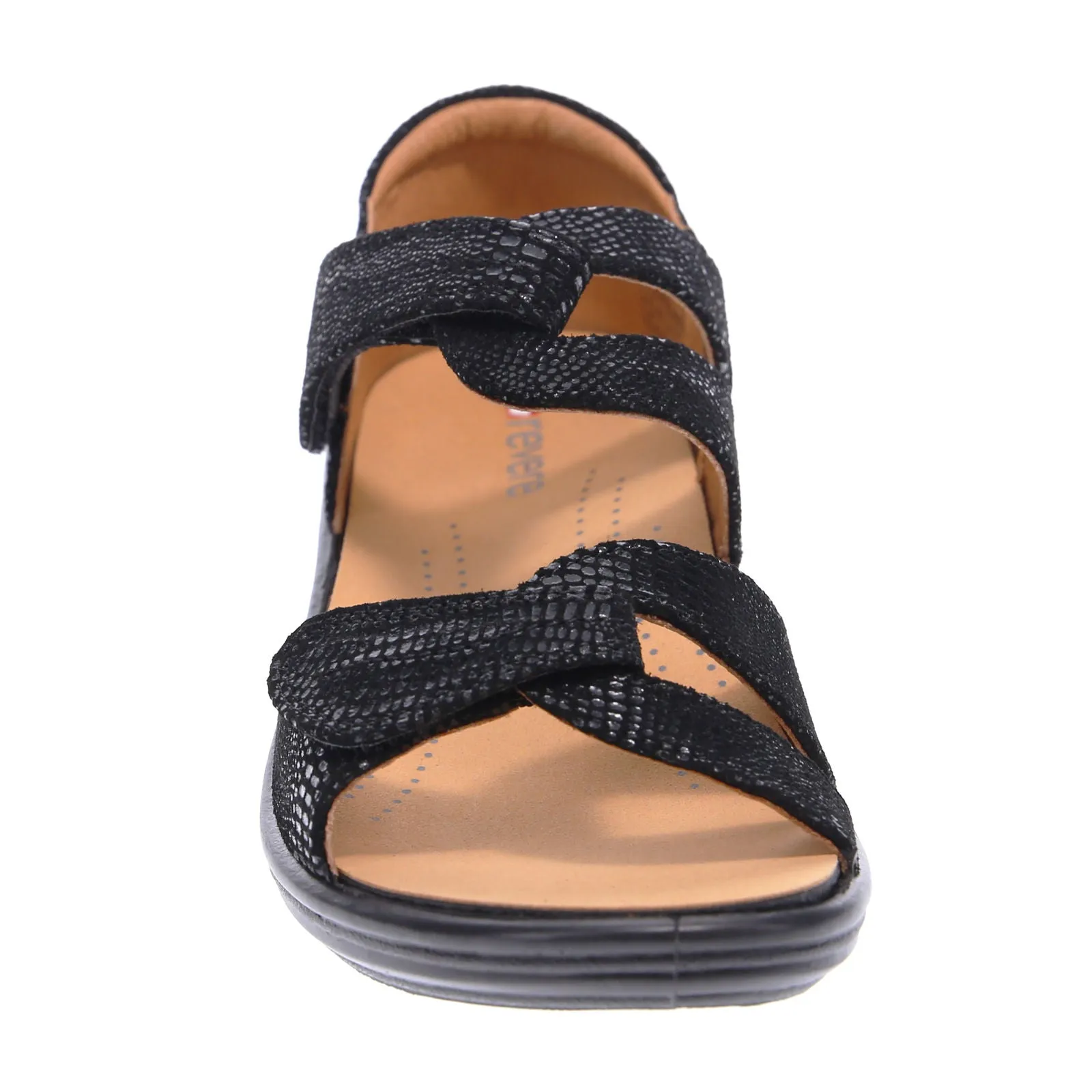 Geneva Black Lizard