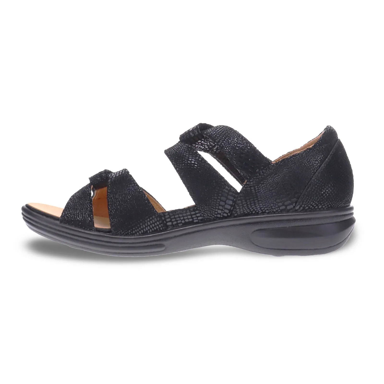 Geneva Black Lizard