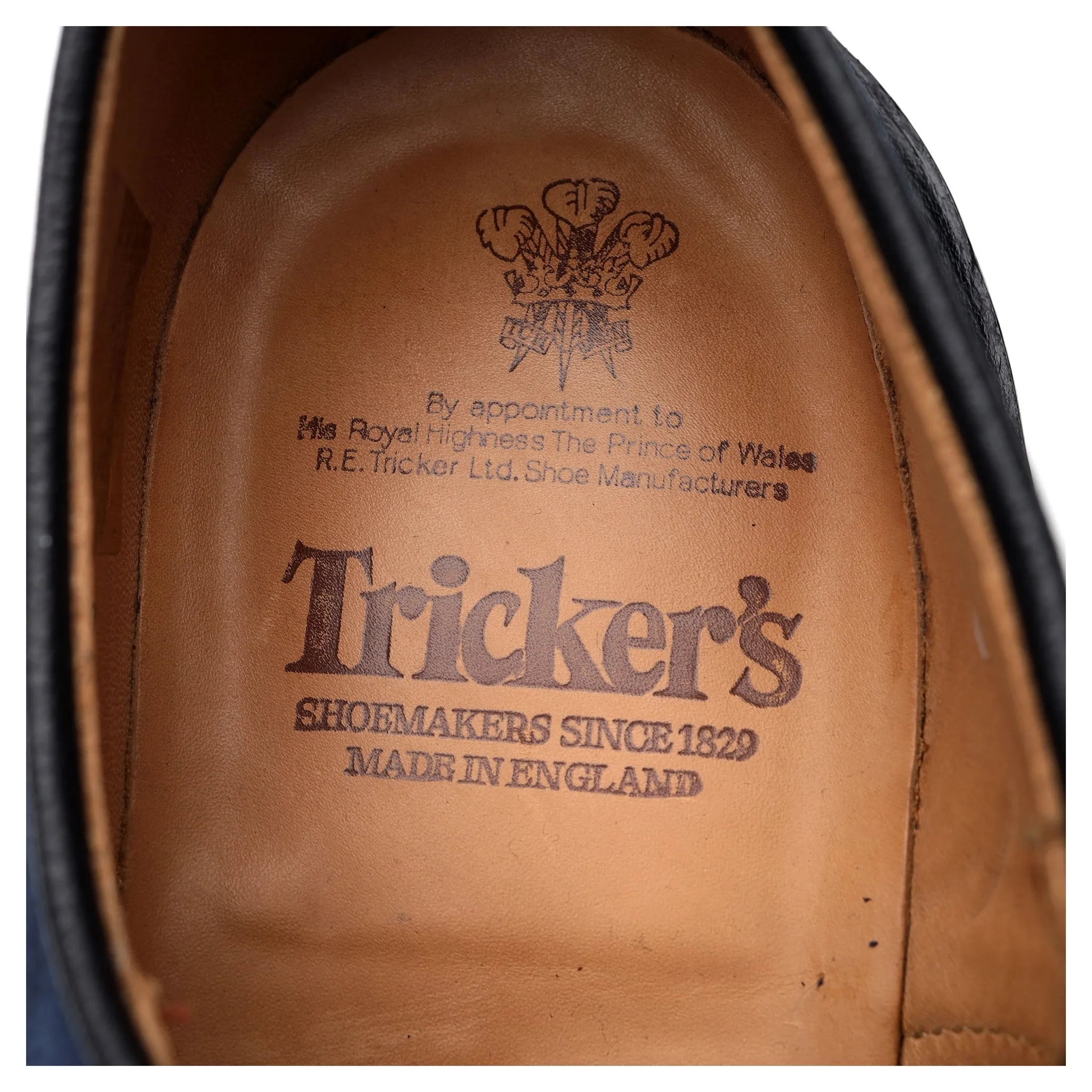 Navy Blue Suede Derby UK 10