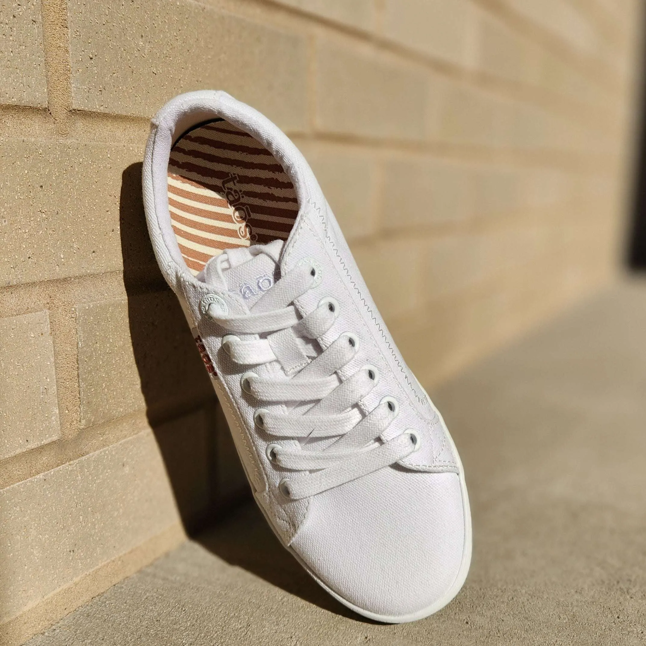 Taos - Star -  White Canvas