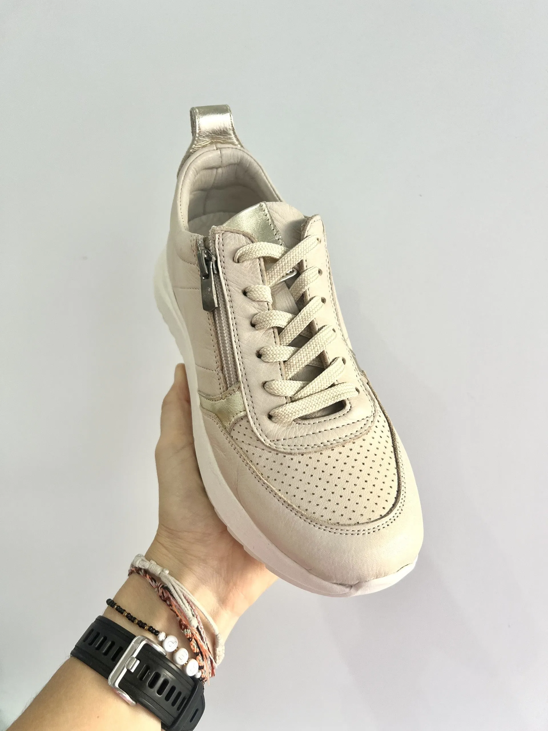 VALLEY TRAINER || SWAN GOLD