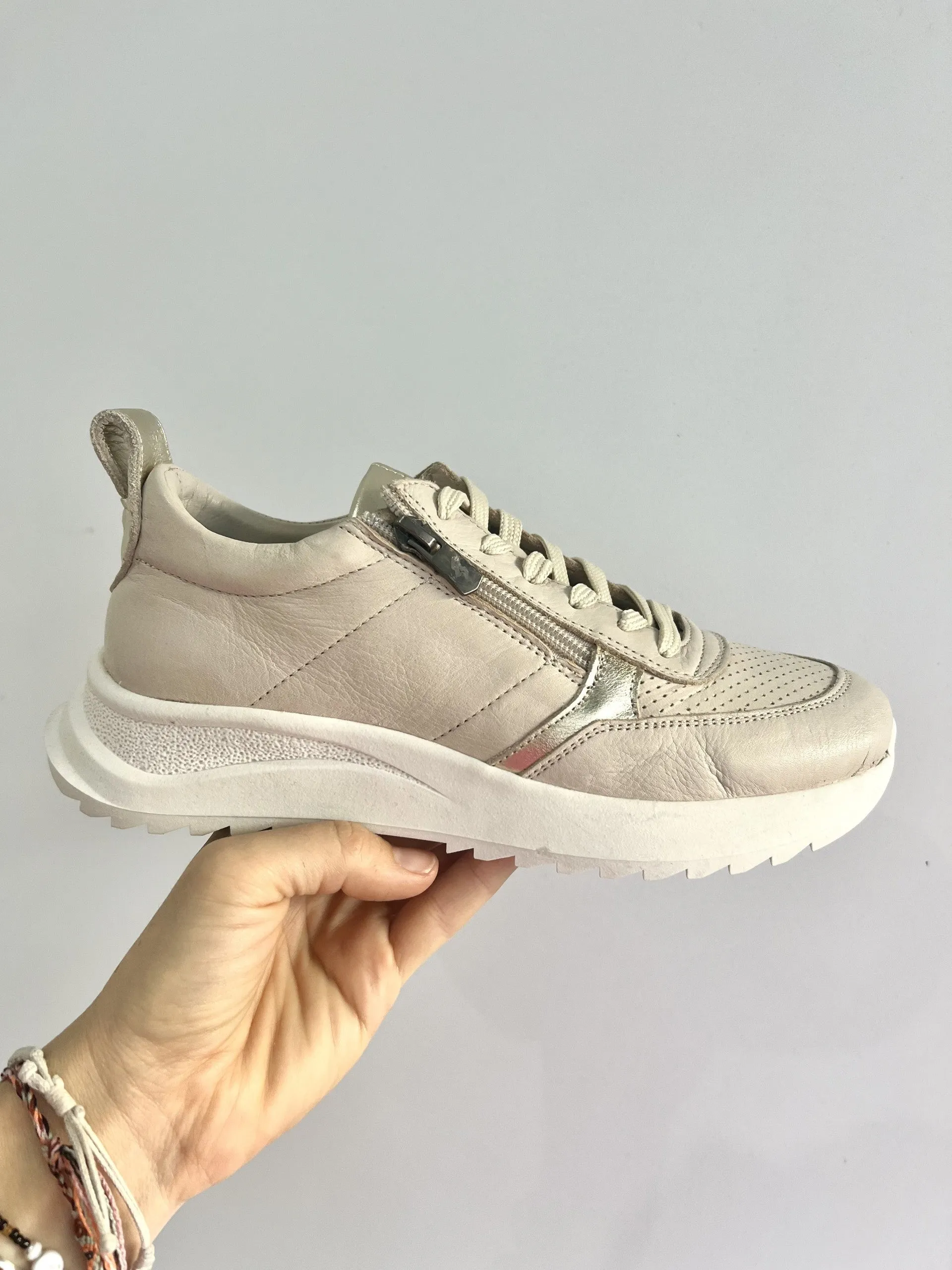 VALLEY TRAINER || SWAN GOLD