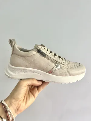 VALLEY TRAINER || SWAN GOLD